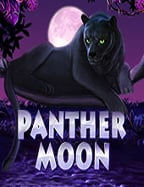 แนะ นํา เว็บ slot ที่ควรลองเล่น