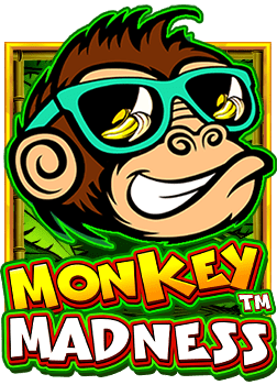 การเล่นเกมสุดมันกับ เว็บ สล็อตเว็บ บอล ส เต็ ป